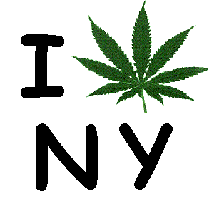 new york marijuana