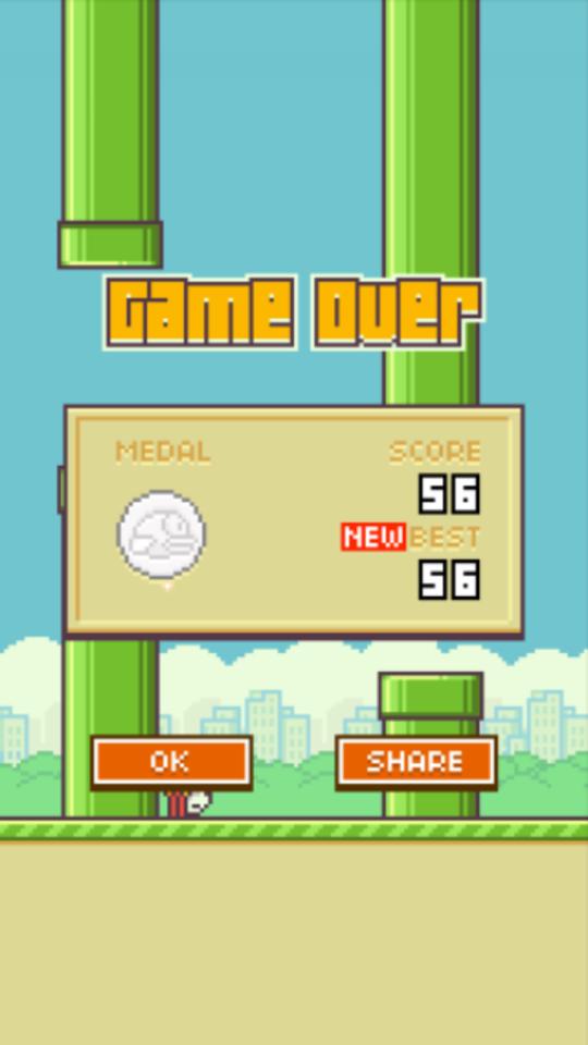 score flappy bird we like it