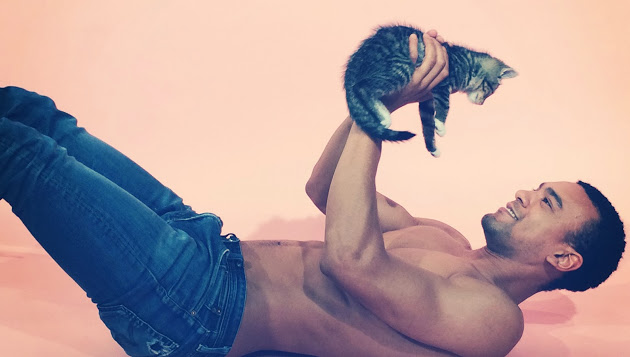GP_IMAGE_Cats&Abs[1]