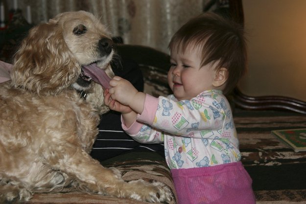 bébé chien amitié