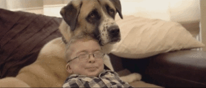 un chien aide les enfants malades