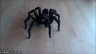 spider robot