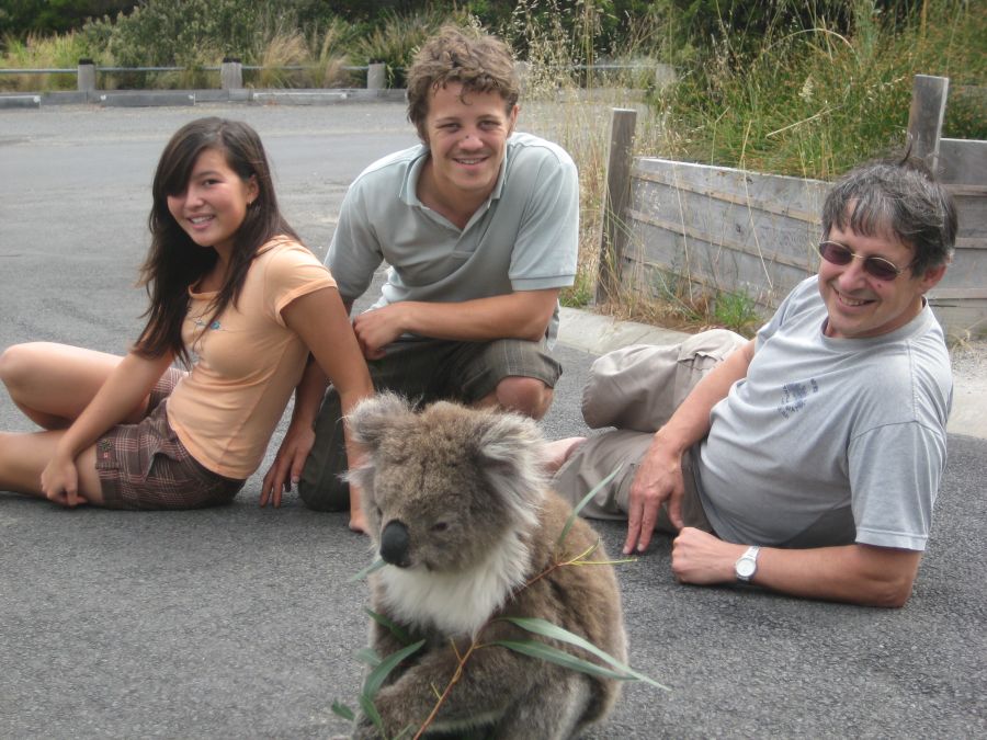 koala agrippé accroché arrière voiture 90 km autoroute australie buzz histoire insolite