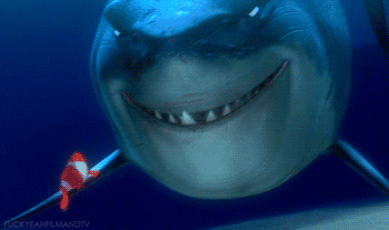 gif shark nemo attaque