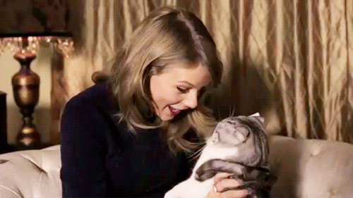 gif taylor swift chat