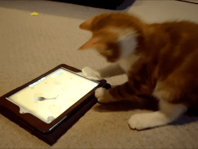 gif chat tablette game