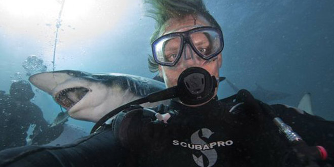 Aaron Gekoski requin selfie eau