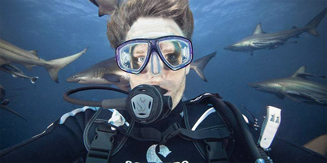 Aaron Gekoski selfie dangereux requin