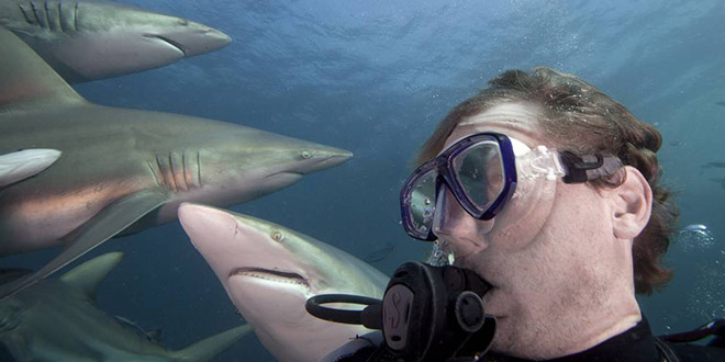 Aaron Gekoski selfie wtf requin