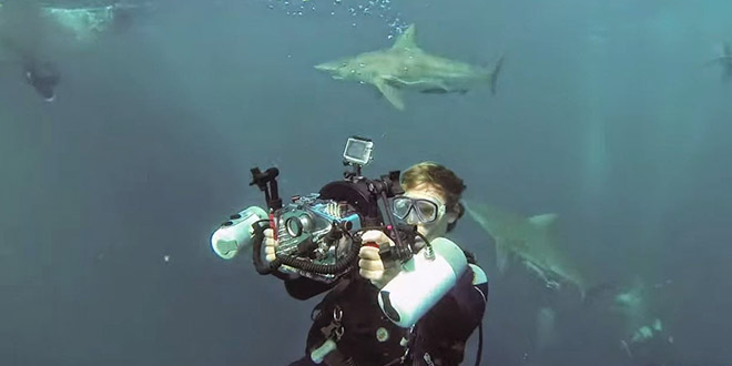 selfie requin afrique du sud