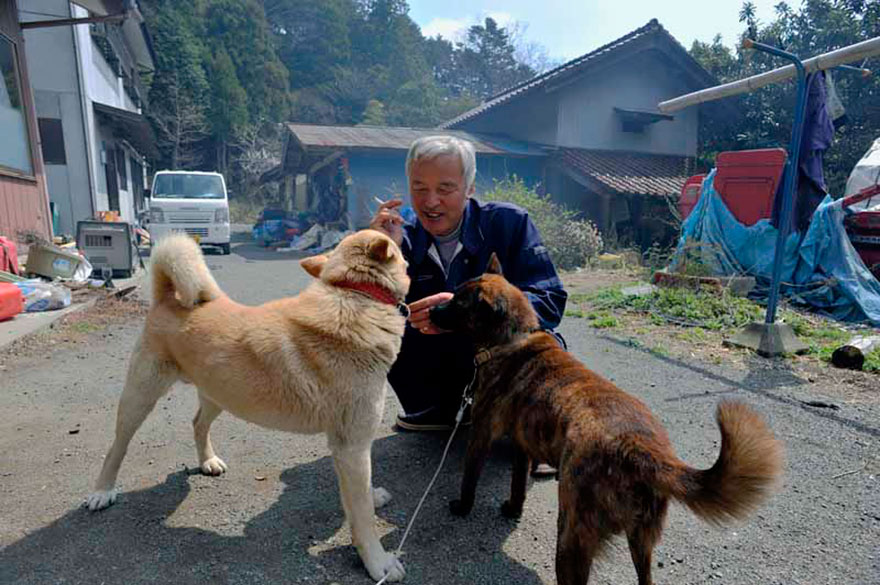 Naoto Matsumura fukushima animaux japon dangereux