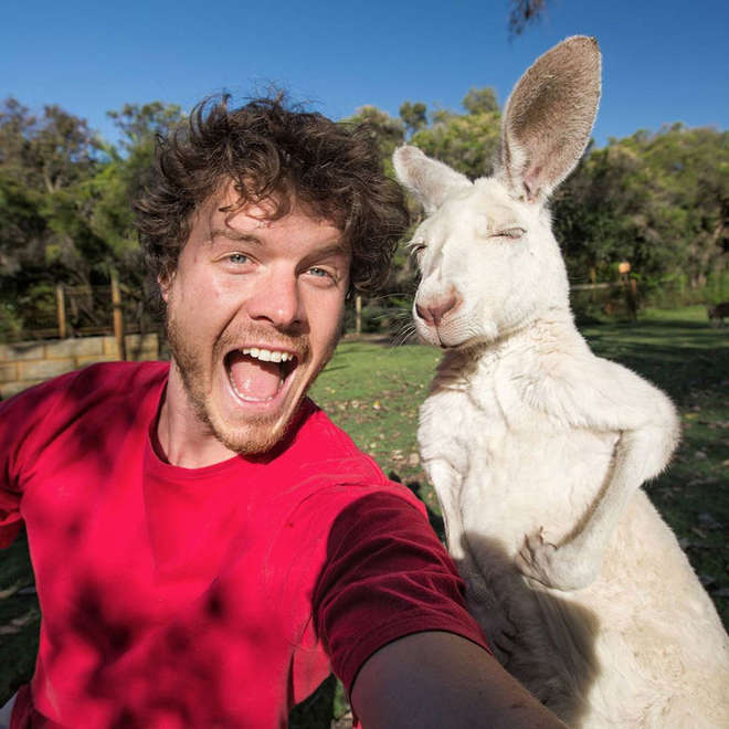 hommes-prend-des-selfies-avec-des-animaux--maître-des-selfies