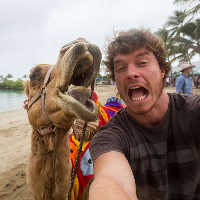 hommes-prend-des-selfies-avec-des-animaux--maître-des-selfies
