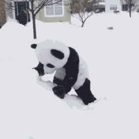 gif panda snow