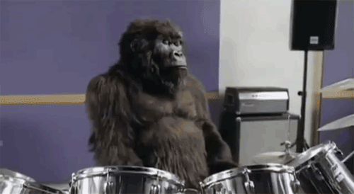 gif gorilla