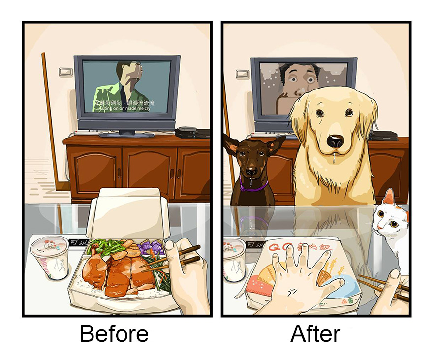 vie-avant-après-avoir-un-chien-life-before-after-getting-a-dog