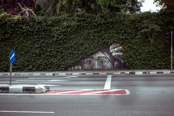 oeuvres-street-art-jouant-avec-la-nature-peek-a-boo-graffiti-pasha-p183-