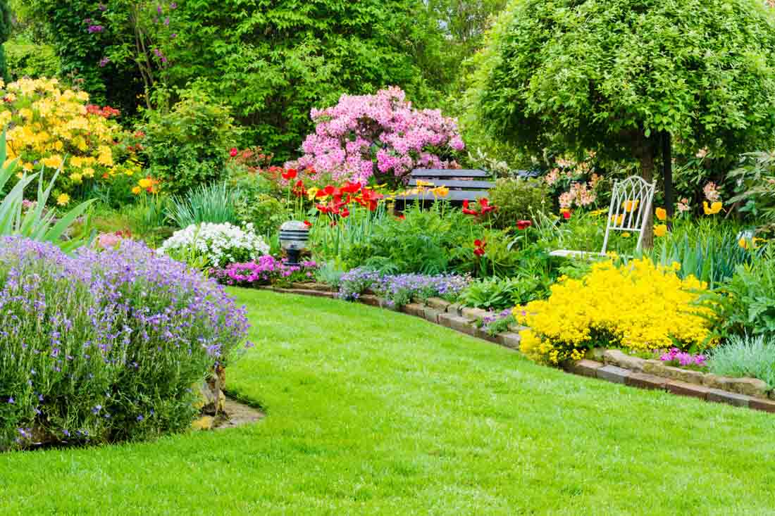 3-conseils-pour-transformer-son-jardin-et-profiter-de-la-vie-creer-ambiance-fleurie
