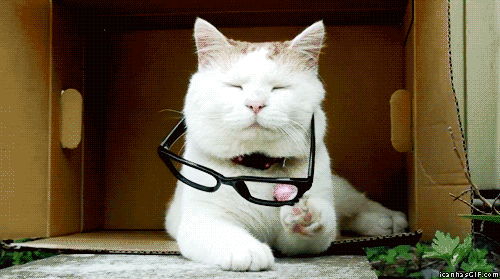 Funny-gif-cat-taking-off-glasses.gif