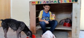 happy animal club l'abri construit par un enfant de 9 ans