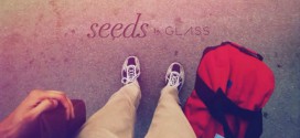 seeds cover
