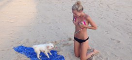 blonde chien plage bikini
