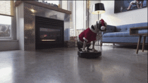 gif chien roomba