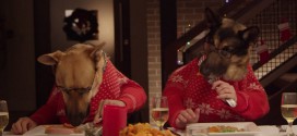 chiens mangent table repas noel