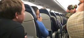 cochon dans un avion