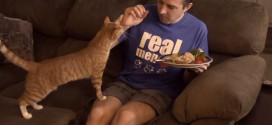 cole et marmelade chats video