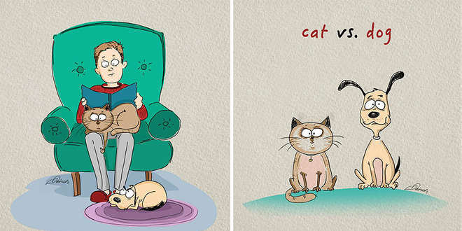 realite-cat-vs-dog