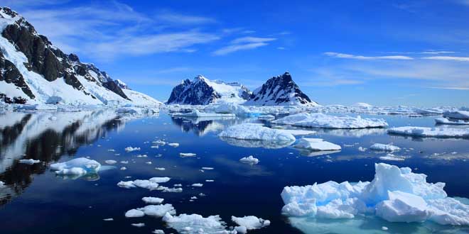 antartica-court-metrage-qui-donne-froid-aux-yeux