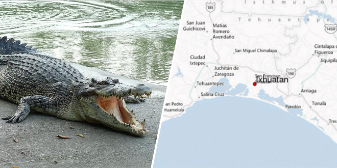 au-mexique-la-population-balance-un-violeur-presume-aux-crocodiles
