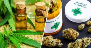 cannabis-therapeutique-la-france-sur-le-point-de-se-laisser-tenter