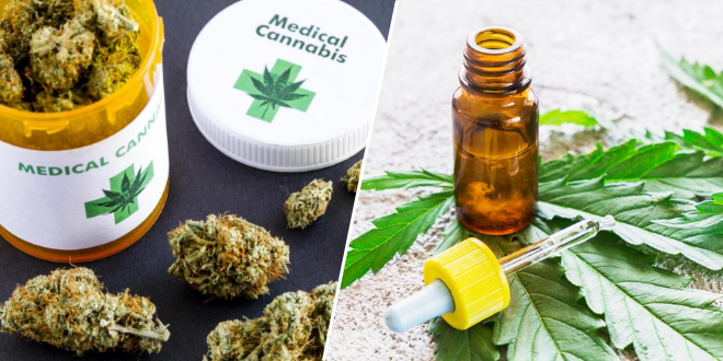 cannabis-lancement-du-test-en-france-pour-24-mois