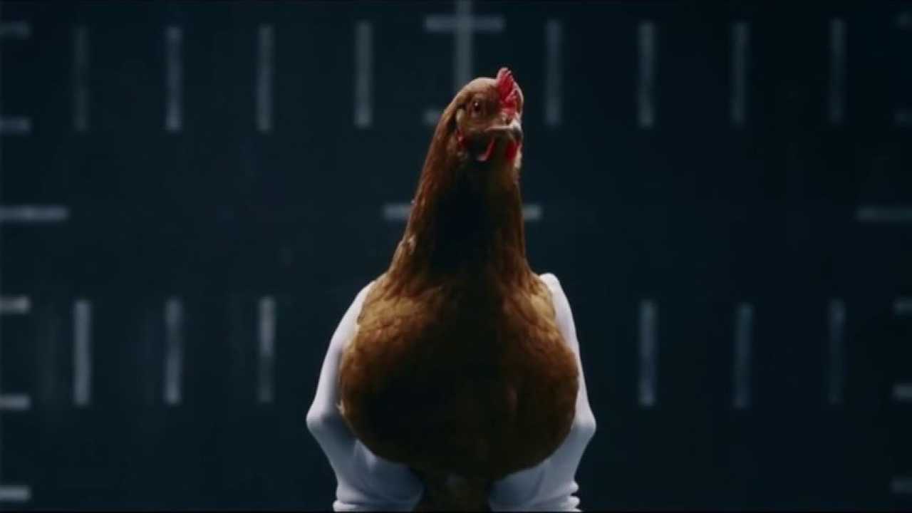 Реклама мерседес с курицей. Курица танцует. Куры гифка. Гифки курица. Курица пляшет.